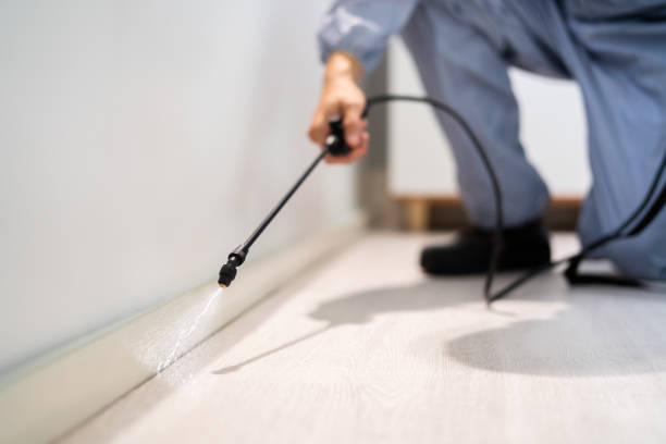 Licensed Mosquito Control service in Innsbrook, VA - Show Me Pest Control