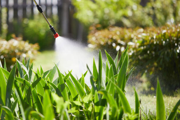 24/7 Emergency Mosquito Control experts in Innsbrook, VA